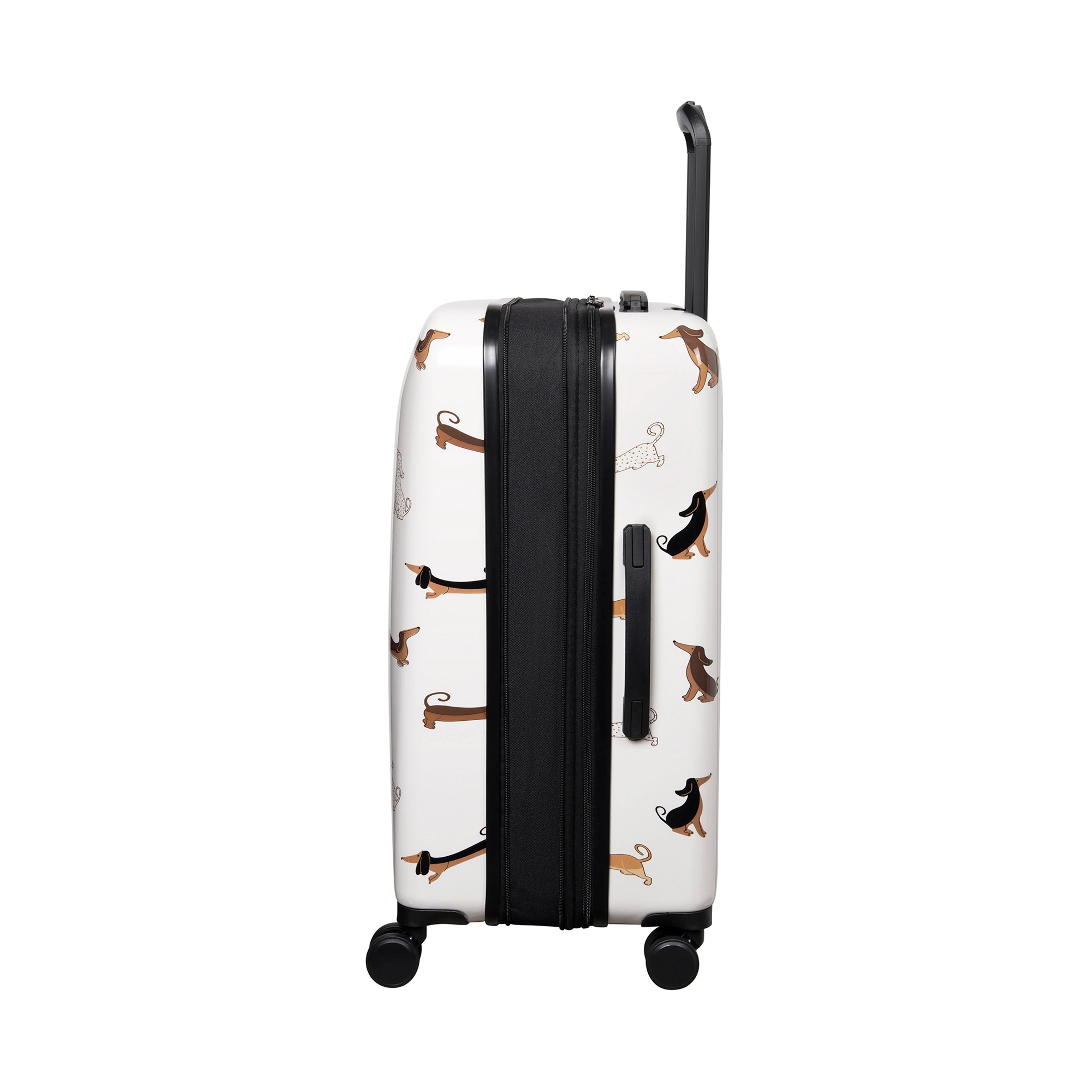 Sheen 22" Hardside Carry-On 8 Wheel Expandable Spinner (Cream Mini Dachshunds) - Image 3